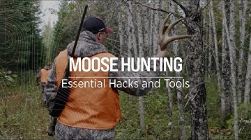 Born to Hunt | Tips and Tricks for Moose Hunting