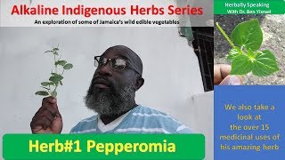 HERBALLY SPEAKING S3E2 (Pepperomia Herb)