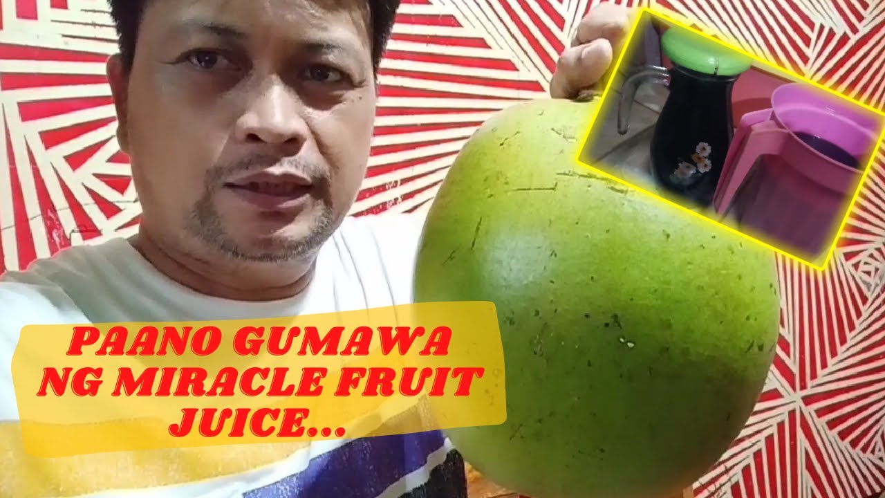 HOW TO EXTRACT JUICE FROM MIRACLE FRUIT OR CALABASH FRUIT YouTube