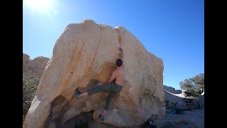 Orange Julius- Joshua Tree, CA