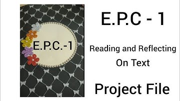 EPC-1B.Ed 1st sem Reading and Reflecting on text file Part-1|Art integrated project|craft ideas|RDVV