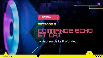 Commandes "echo" et "cat" - Terminal 5