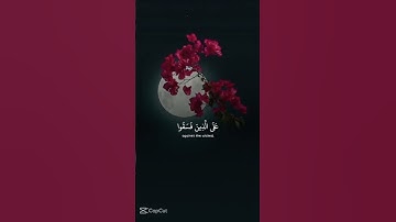 القرآن الكريم راحه نفسيه 🎧🖤اكتب شيء تؤجر عليه الأجر ليا وليك 🤎🍂 #لايك #اكسبلور