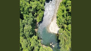Borneo River Serenity