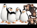 PINGOUINS DE MADAGASCAR FRANCAIS EPISODE COMPLET JEU Dreamworks Les Pingouins de Madagascar Manigan