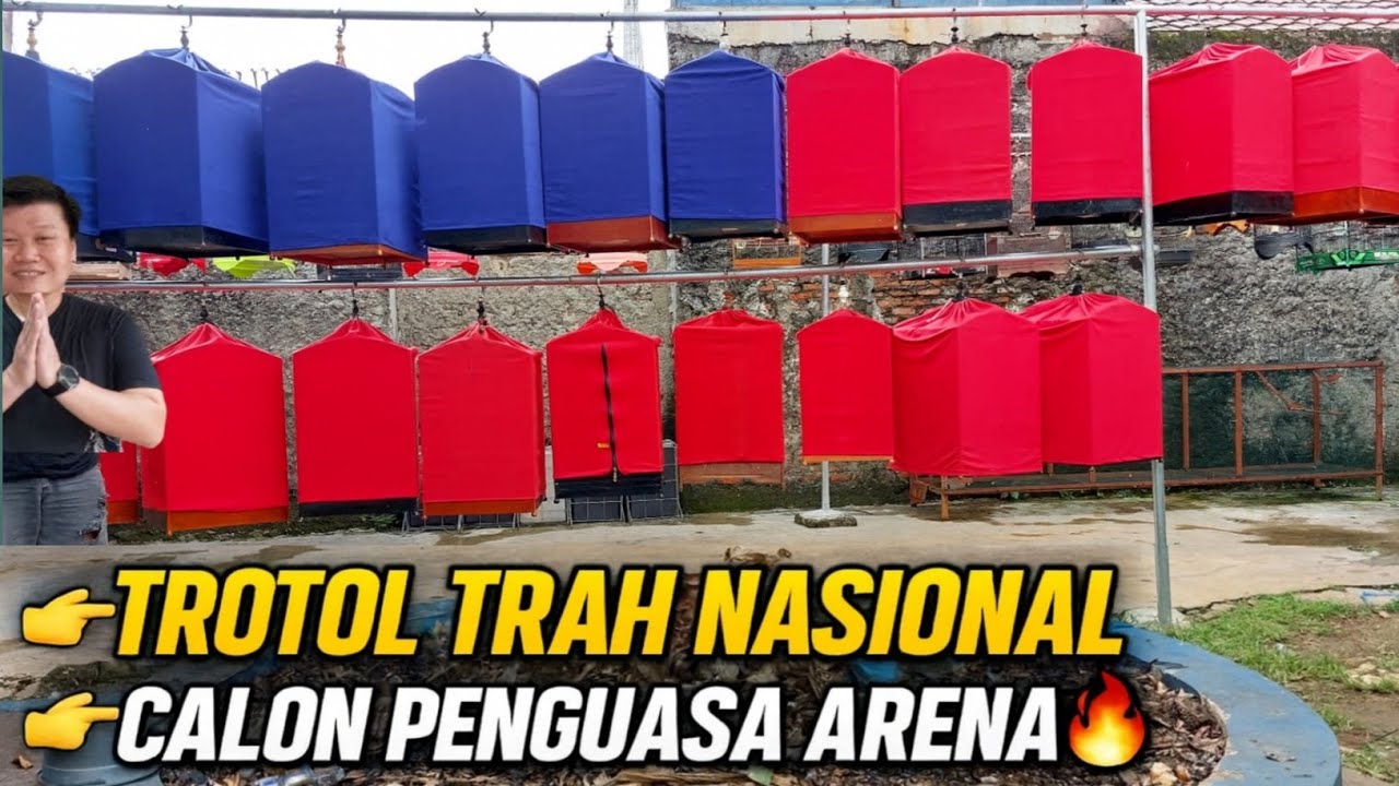 GILA‼️ MURAI TROTOL TRAH NASIONAL DI RAI BF BEKASI INI CALON PENGUASA ARENA GANTANGAN‼️