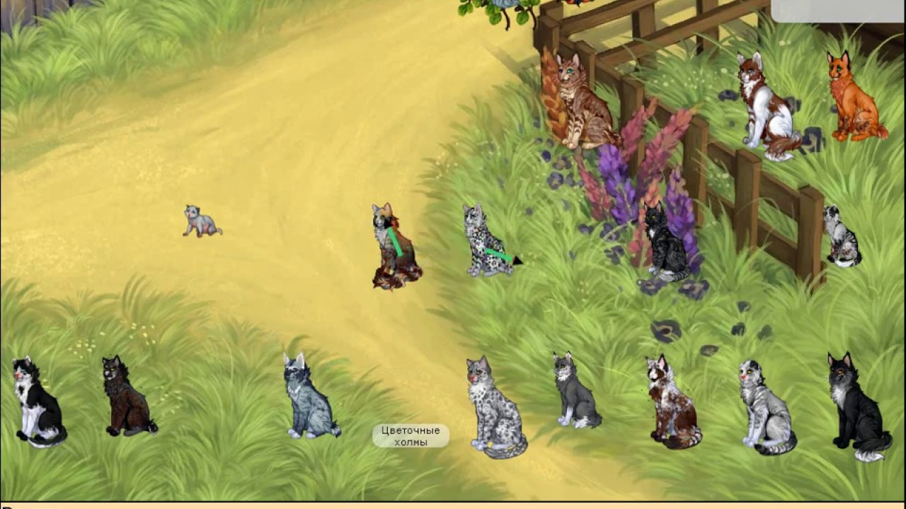 Кэтвар племя ветра карта