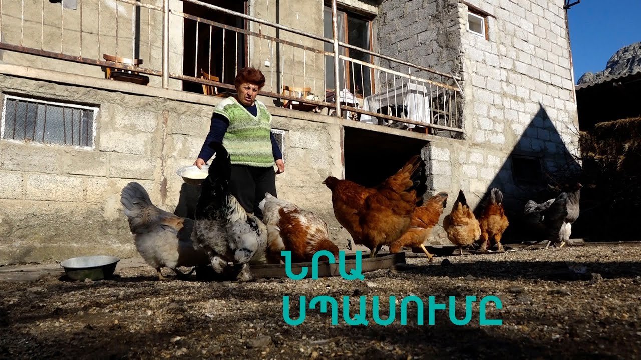 «Տղես տանն ա մնացել, մնին ասումա չաղա, մնին նիհար, նենց գիդի ինքը Ալեն Դելոնա»․ Սյուզաննա Այվազյան