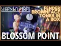 Surfy industries blossom point  classic fender brownface tones