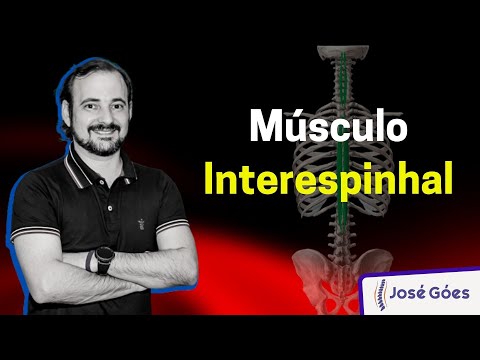 Vídeo: O que são músculos interespinhais?