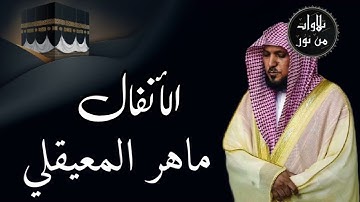 ماهر المعيقلي من الحرم المكي - سورة الأنفال (مُرتَّل)