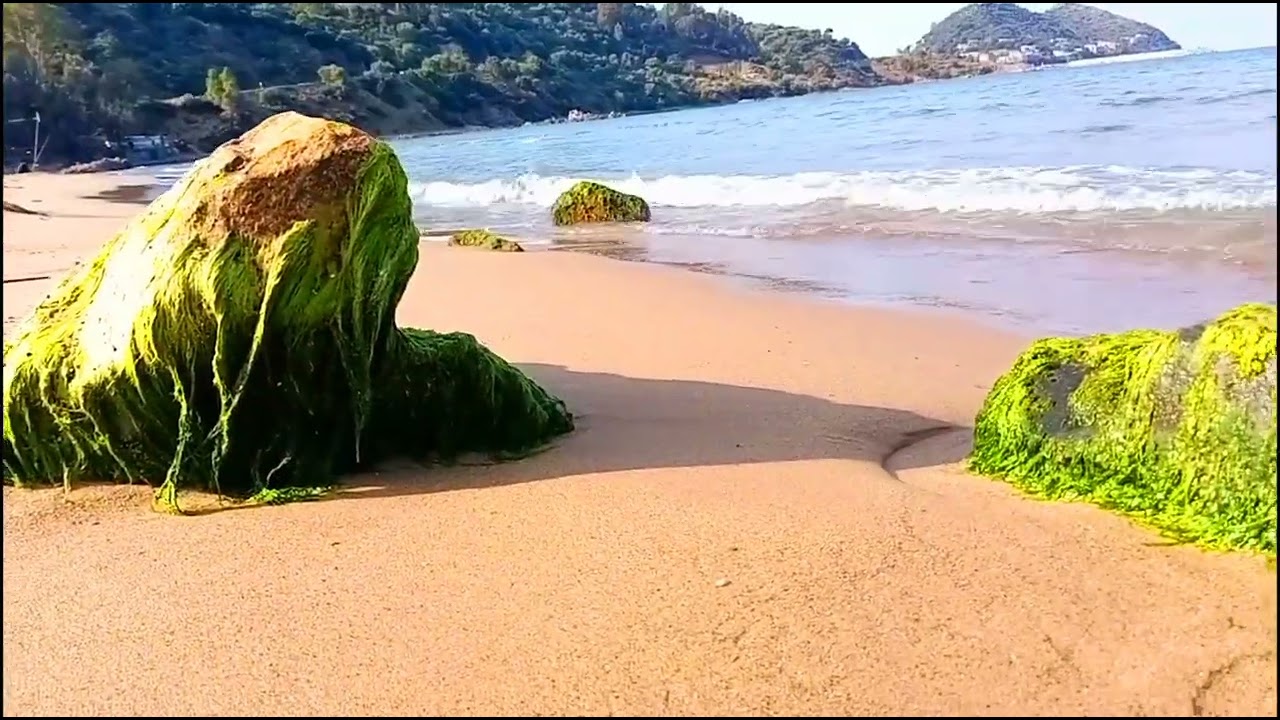 جمال منطقة تلزة القل غرب ولاية سكيكدة  index nationale