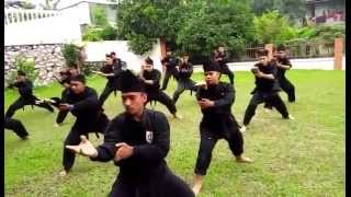 Download Lagu Persembahan Bunga Tanjong Silat Seni Gayong Malaysia MP3