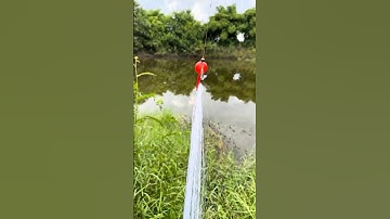 Câu cá bằng lưới và cái kết oái ăm! #fishing #cauca #shorts