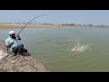 incredible Red bellied fishes fishing|Fisher Man Catching Piranha fishes in SINGLE hook|