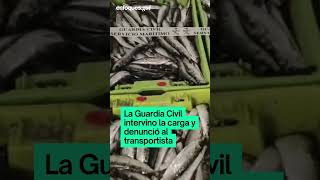 Incautados más de 220 kilos de sardinas que venían del puerto de Corcubión
