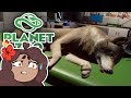 A BATTLE Between Wolves!! 🐺 Daily Planet Zoo! • Day 24