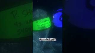 I found P Sherman IRL