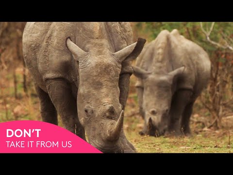 Don't Take It From Us - Global Focus