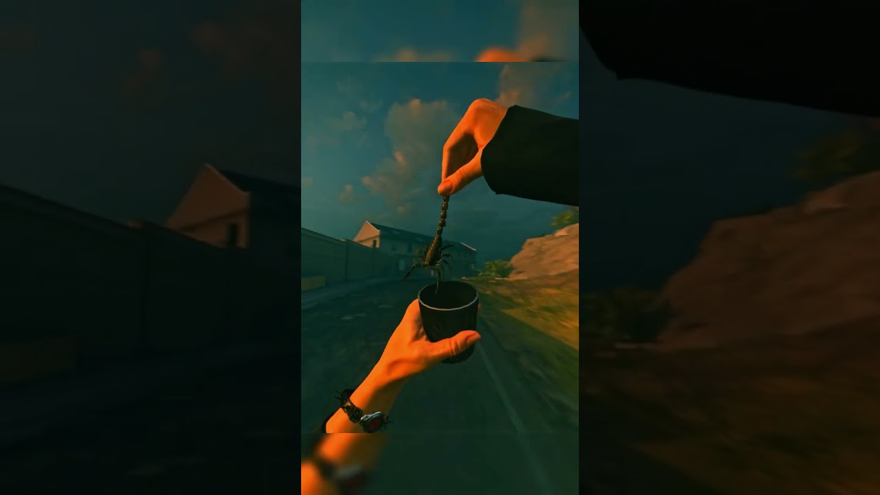 OG Rebirth Island Day vs Night🌙😍 #shorts #warzone #rebirthisland #callofduty #blackops6 #cod #mw2