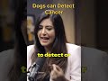 Dogs can detect cancer|| #trending #video #shorts #podcast