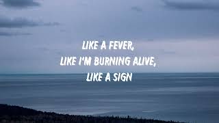 Billie Eilish - Wildflower (Lyrics)