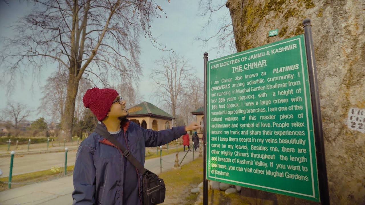 হেঁটে হেঁটে শ্রীনগরের শালিমার বাগ