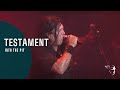 Testament - Into The Pit (From Live In London)