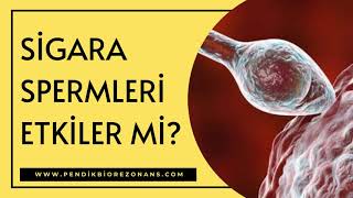 0216 3540063 | Pendik Biorezonans Mora Sigara Bıraktırma Merkezi | SİGARA SPERMLERİ ETKİLER Mİ?
