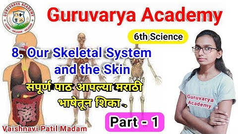 8 Our skeletal system and the skin | Part 1| Our skeletal system and the skin class 6 | 6th Science
