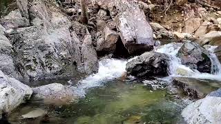 Relaxing Music For Stress Relief(River sounds-natural sounds-water sounds)