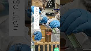 Chemistry Experiment 🧪 DO NOT SHAKE! The Mysterious Brown Ring Test 🐶🐱 #Chemistry#youtubeshorts #cat