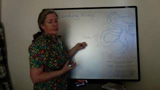 Meandering Rivers - Oxbow Lakes (sed strat)
Lakes form in abandoned meandering river channels. In this video, I discuss how oxbow lakes form and the deposits in them. Meandering Rivers - Oxbow Lakes (sed strat)
