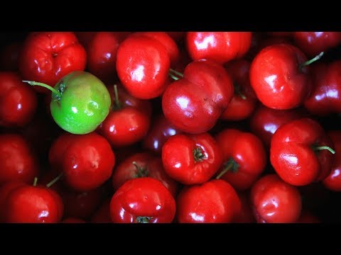 Os 10 Benefícios da Acerola Para Saúde I Dicas de Saúde