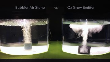 Bubbler Air Stone vs Emitter
