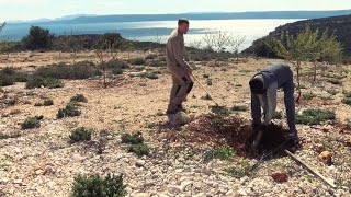 PLODOVI ZEMLJE, 28. ožujka 2021.