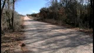 Man accused of killing ECU student arraigned