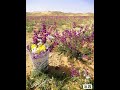 ١٨ فبراير ٢٠١٩ 