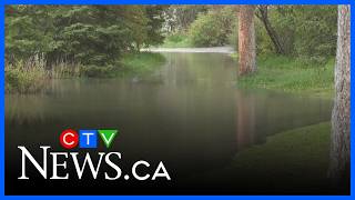 Rainfall warning lifted for Calgary | CTV News Calgary Noon Update for June 2, 2026