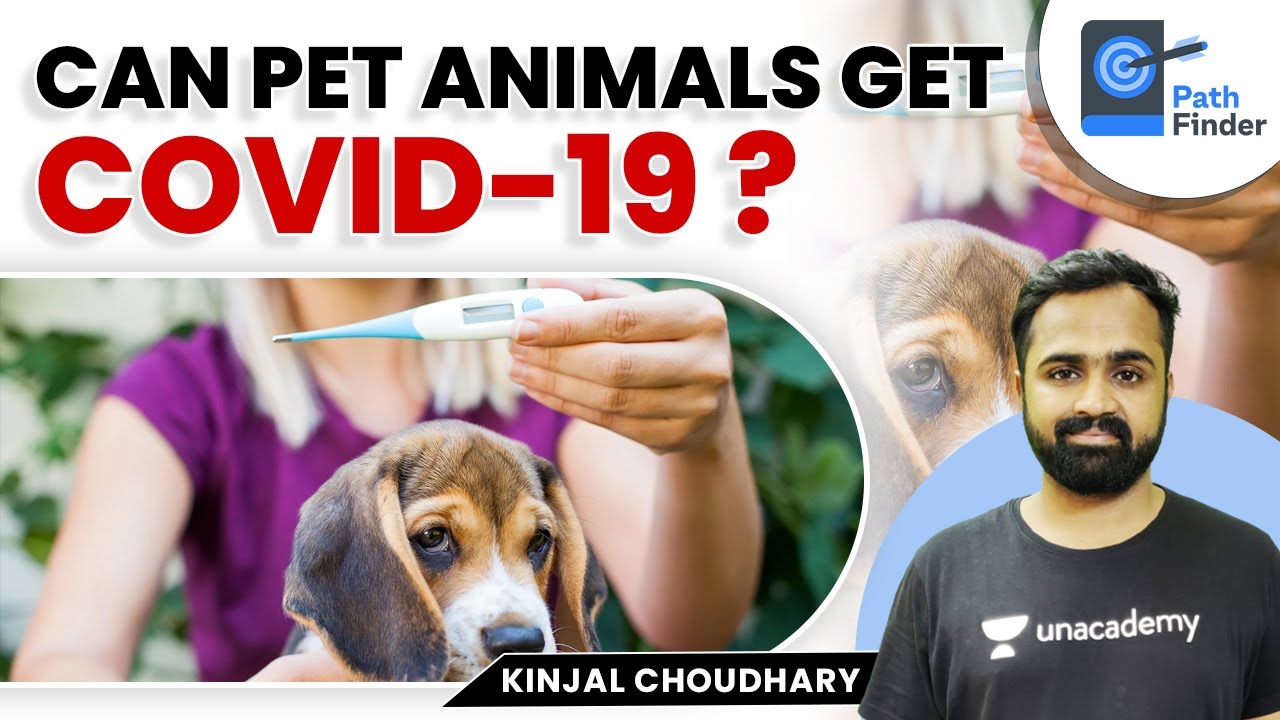 Are Pet Animals Safe From Covid- 19 | Current Affairs | UPSC CSE | Kinjal Choudhary 