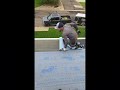 how to roll ice and water like a Boss