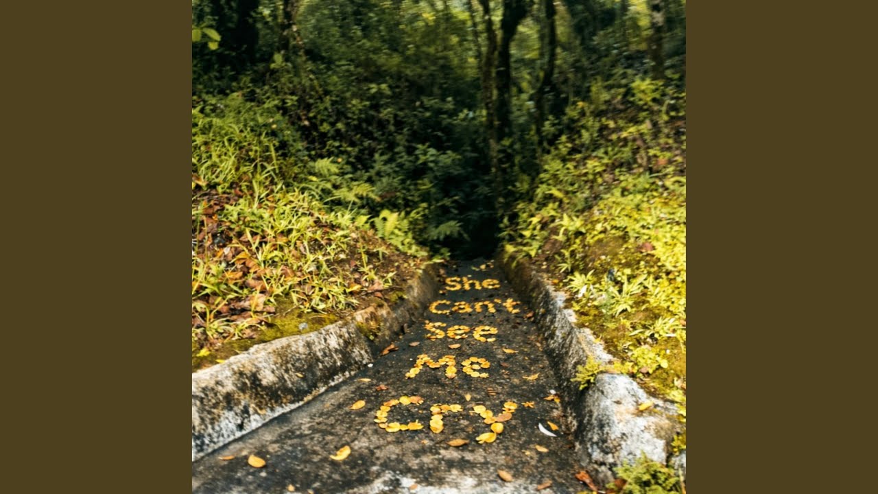 She Can't See Me Cry (Sped Up)