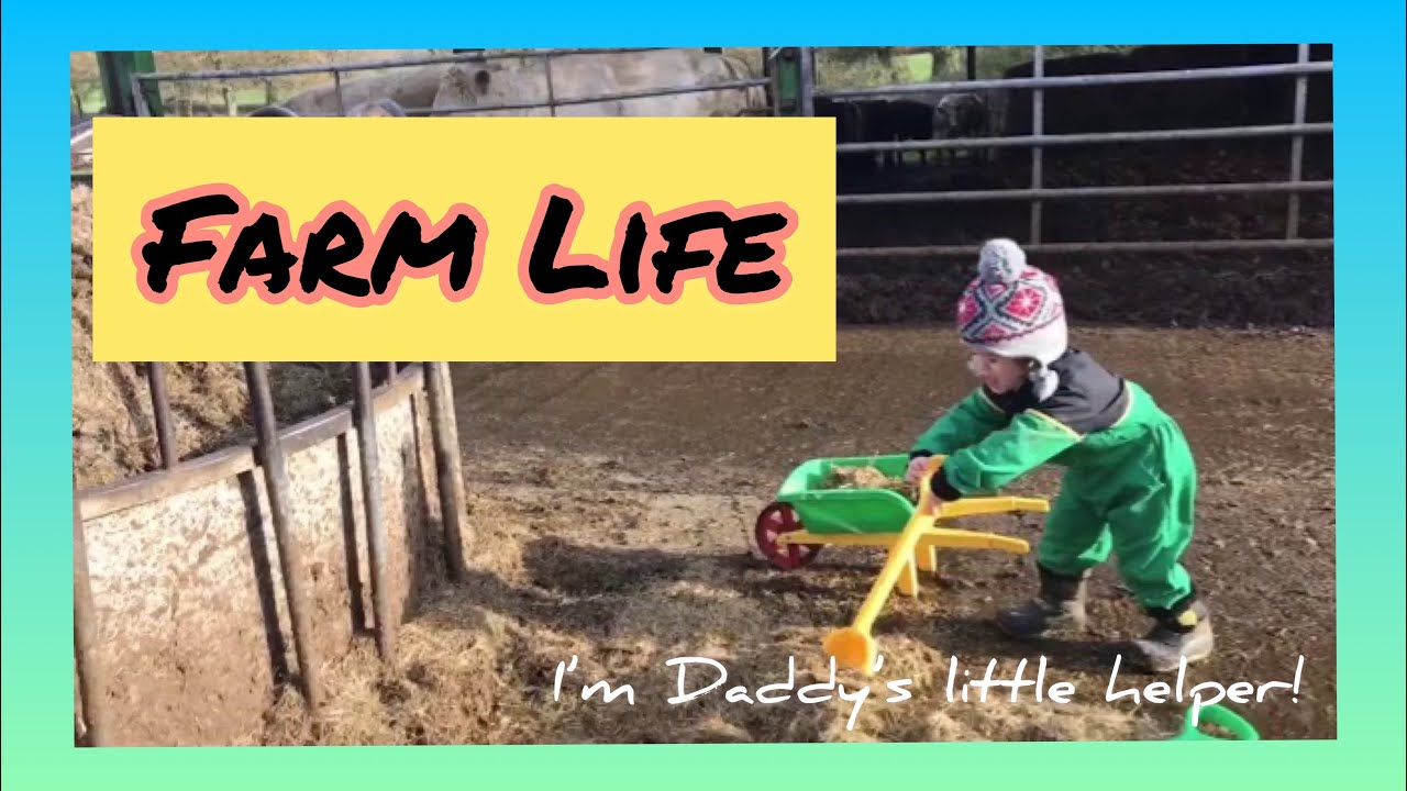 Joseph Pretend Play as A Farmer | Farm Animals for Kids | Joseph's Life on the Farm