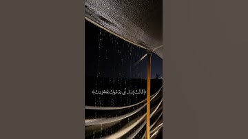 سورة القصص | القارئ : ريان المحيسني