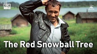 The Red Snowball Tree | DRAMA | FULL MOVIE