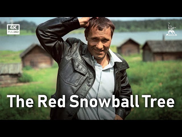 The Red Snowball Tree | DRAMA | FULL MOVIE class=