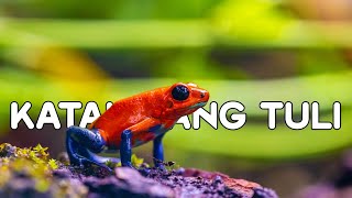 KATAK YANG TULI || Kuasa Kata-Kata