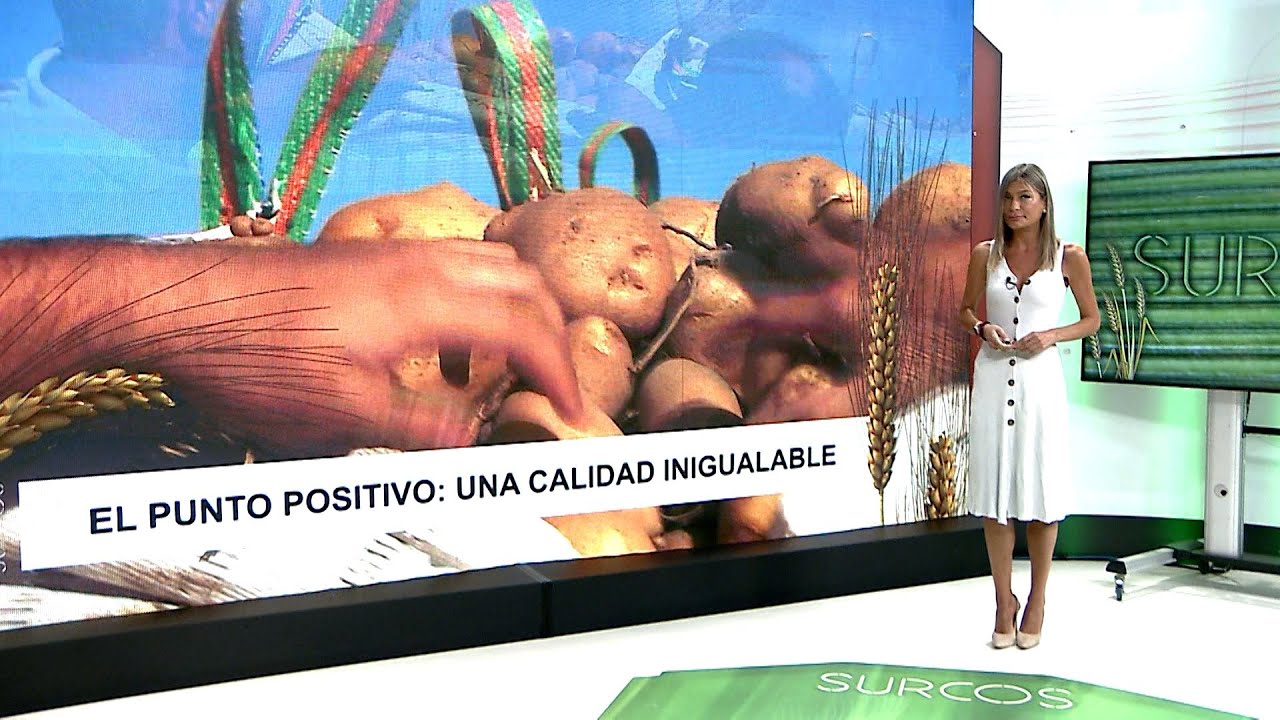 T17/E6: La campaña de arranque de patata llega a su fin