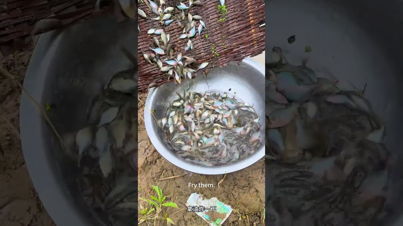 I caught fish at the water outlet all night 