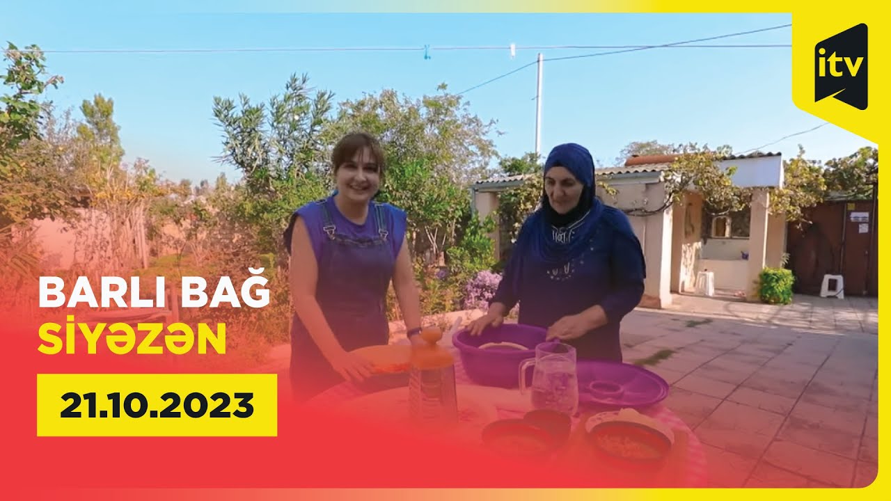 Barlı bağ | Siyəzən | 21.10.2023